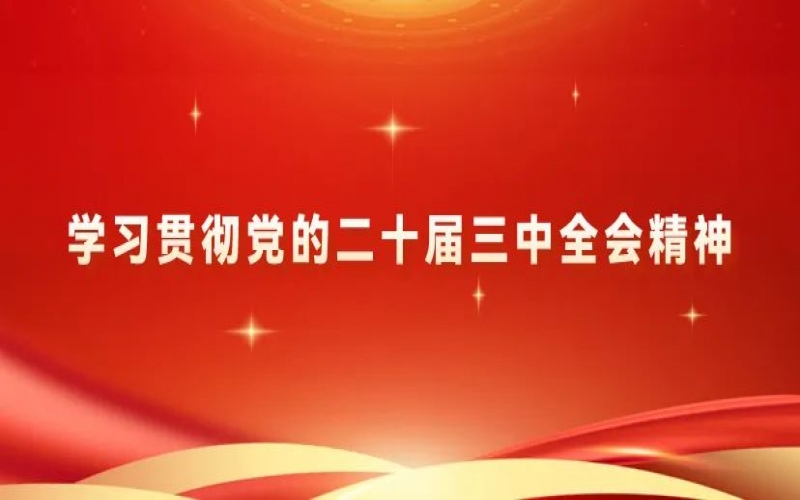 学习贯彻党的二十届三中全会精神 - 乐鱼官方网站青年为推进中国式现代化挺膺担当（二）