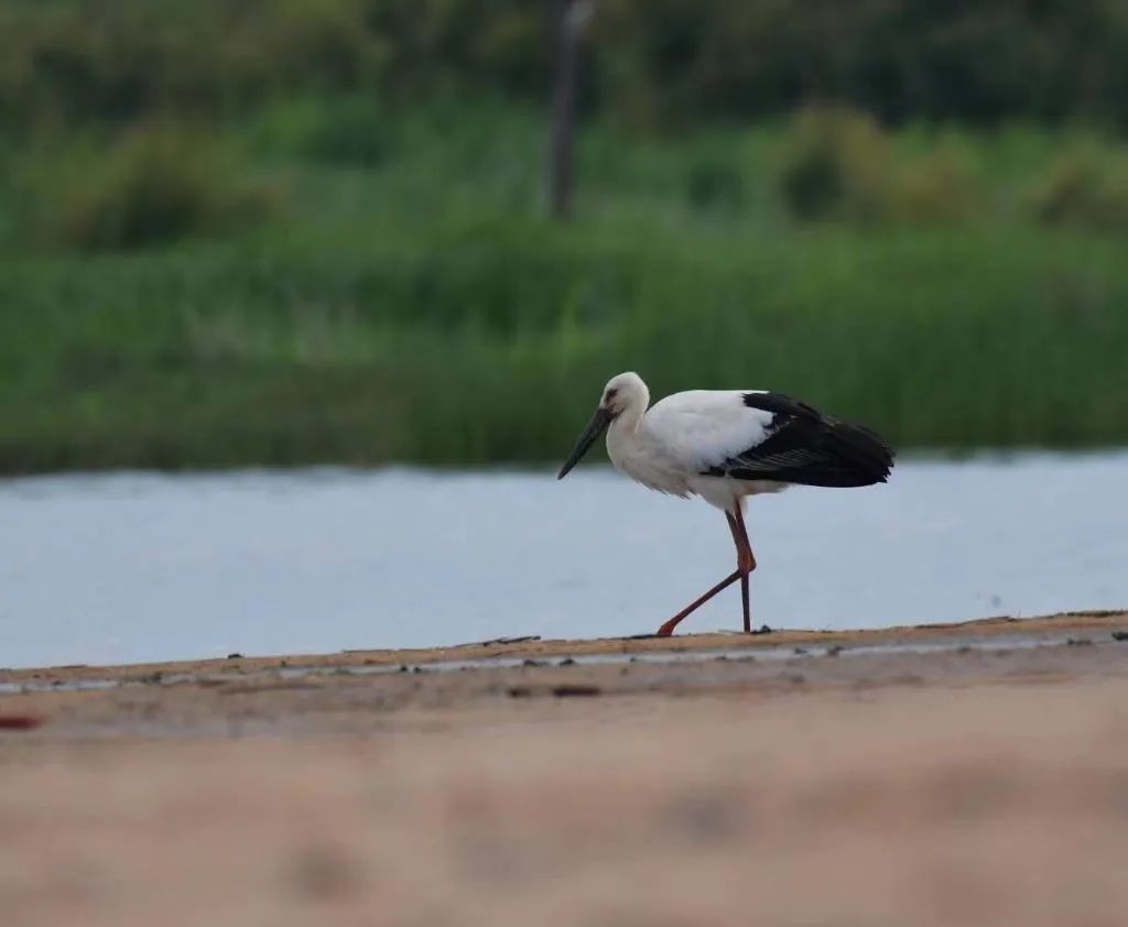图片关键词 图片