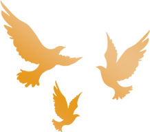 图片关键词 图片关键词