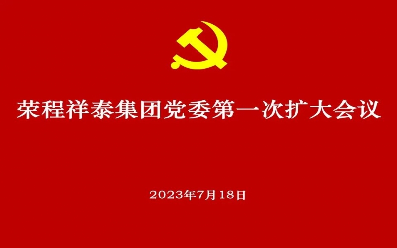 乐鱼官方网站祥泰集团党委获批成立 党委高标准部署推动选举工作