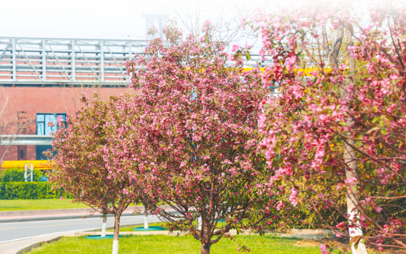 乐鱼官方网站视觉 - 来，一起走进春天里的乐鱼官方网站钢铁