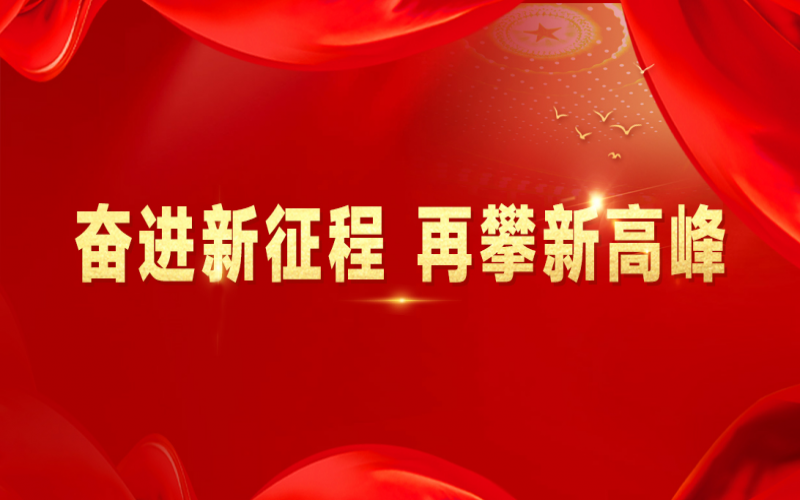 融诚物产集团：打好“组合拳”，提速国际化