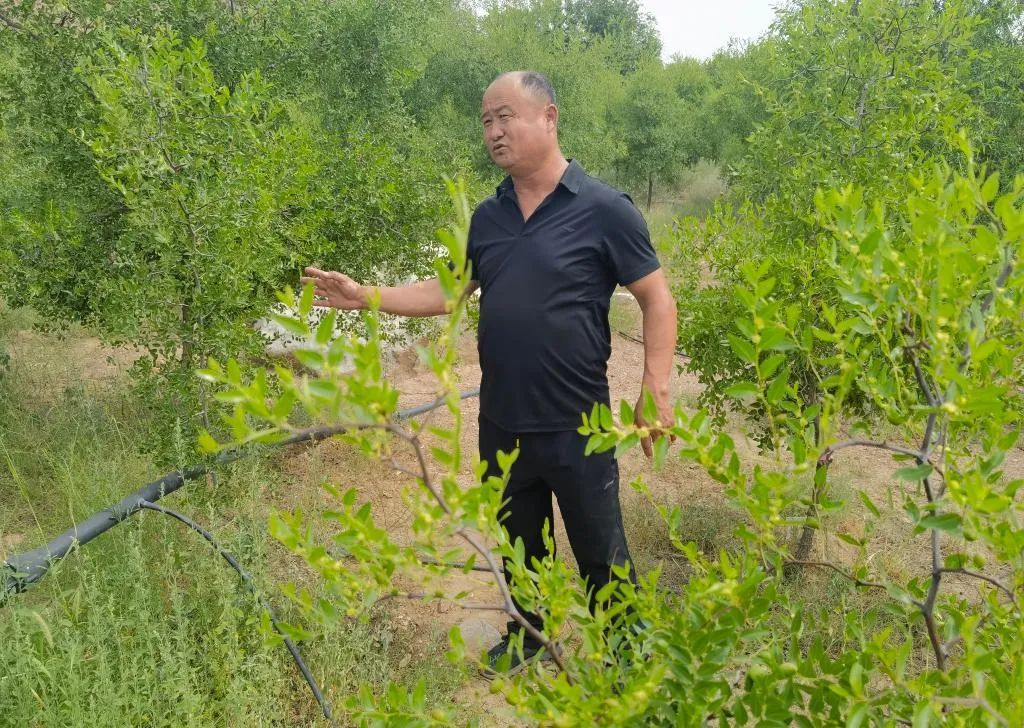 图片关键词 图片