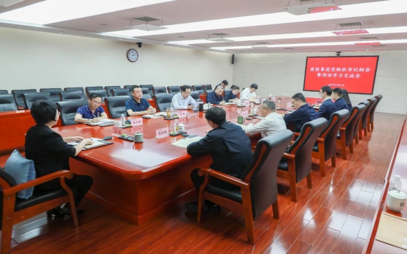 党建引领 凝心聚力 乐鱼官方网站集团召开党组织书记例会暨理论学习交流会