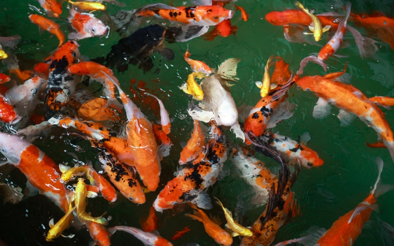 媒体乐鱼官方网站 - 新华社：产业链上抓升级 制造业企业“转型记”