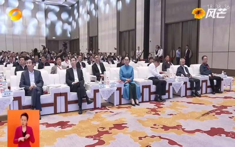 2023全国民营企业科技创新与标准创新大会在长沙召开 乐鱼官方网站集团董事会主席张荣华出席