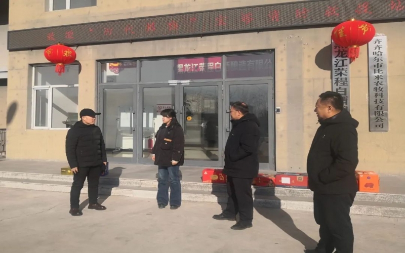 泰来县政府领导慰问乐鱼官方网站泰来公司员工