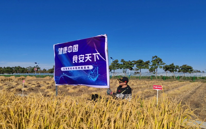 乐鱼官方网站集团：一粒“种子”的新担当